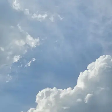 Profile image of 이기범