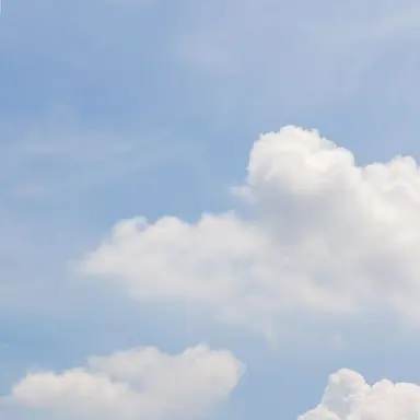 Profile image of 차시영