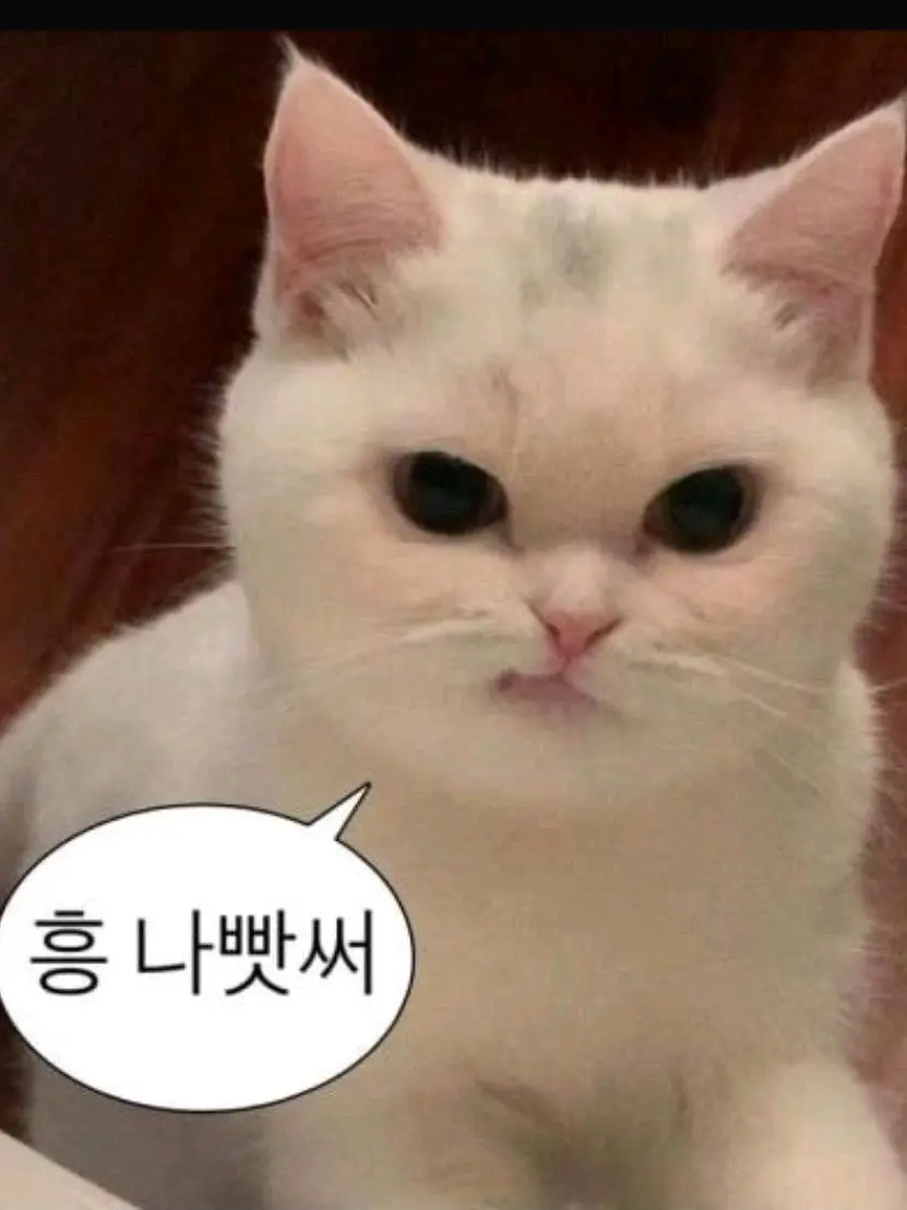 CyanBid8670의 수현이라는 전학생이 왔다