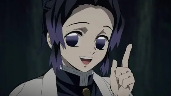 Profile image of 胡蝶しのぶ