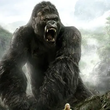 Profile image of 킹콩