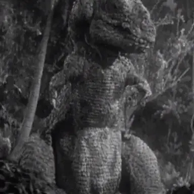 Profile image of 카사이 렉스