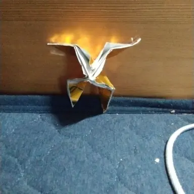 Profile image of 通常型個体