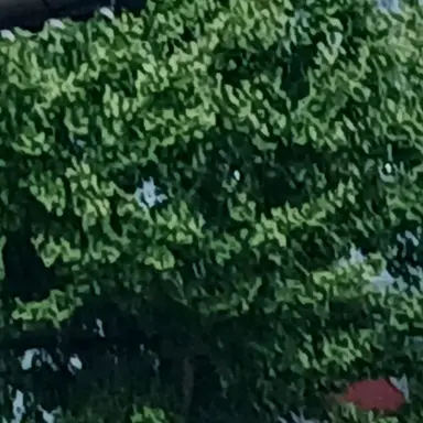 Profile image of 벨키