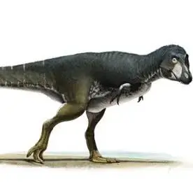 dinosaur20060822의 ブラッジ