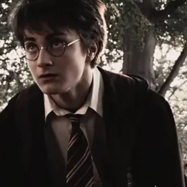 Profile image of Harry Potter