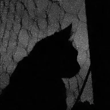 Profile image of タン