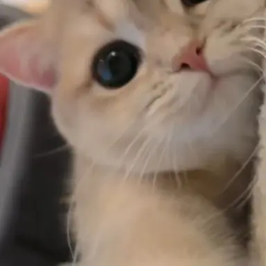 Profile image of 김아윤