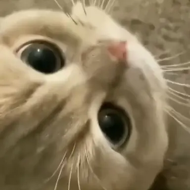 Profile image of 김규빈