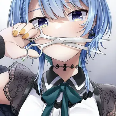 Profile image of すいせい