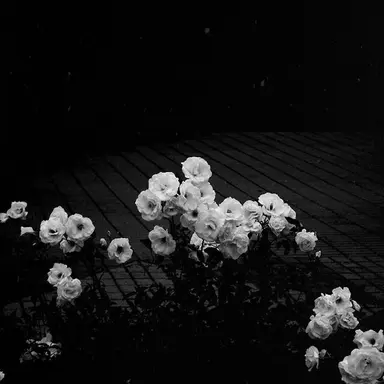 Profile image of A.s