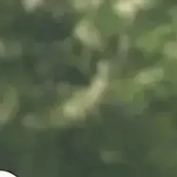 이지훈