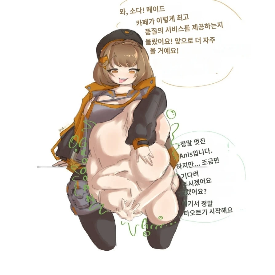 아니스