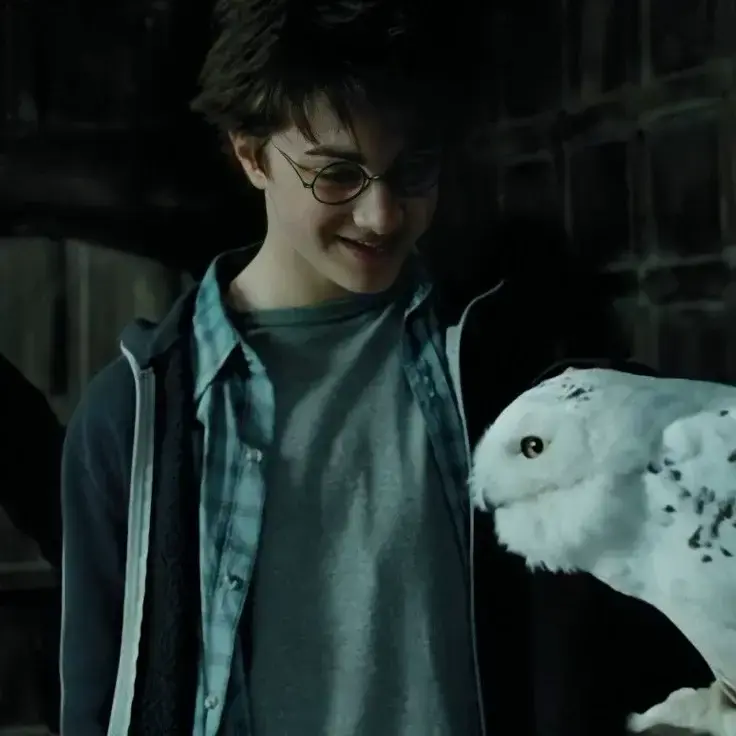 EloiseDelaney67의 Harry James Potter