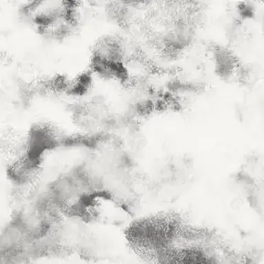 Profile image of ノクス