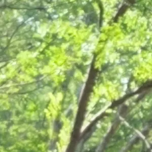 LOVEloveyy의 뿌슨간