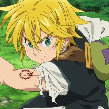 Profile image of メリオダス