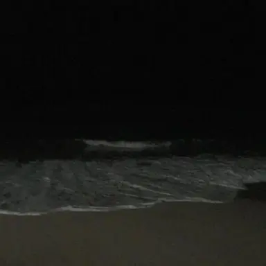 Profile image of 배세진