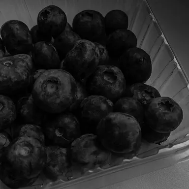 Profile image of 청려