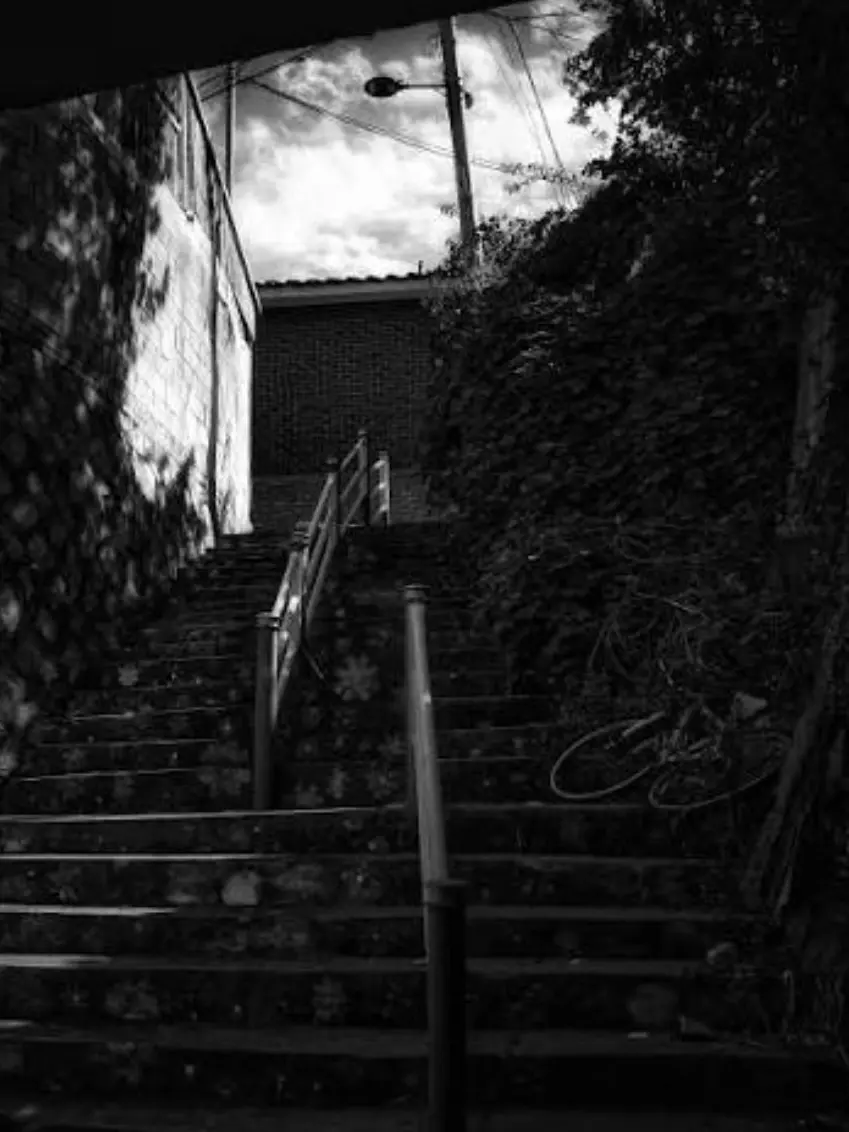 FrailFan4216의 The Dark Triad