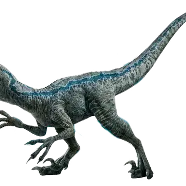 Profile image of 블루