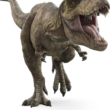Profile image of 렉시