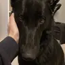 Profile image of Derek