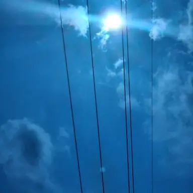 Profile image of 유기사