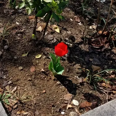 Profile image of 요한