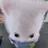 팀나빠