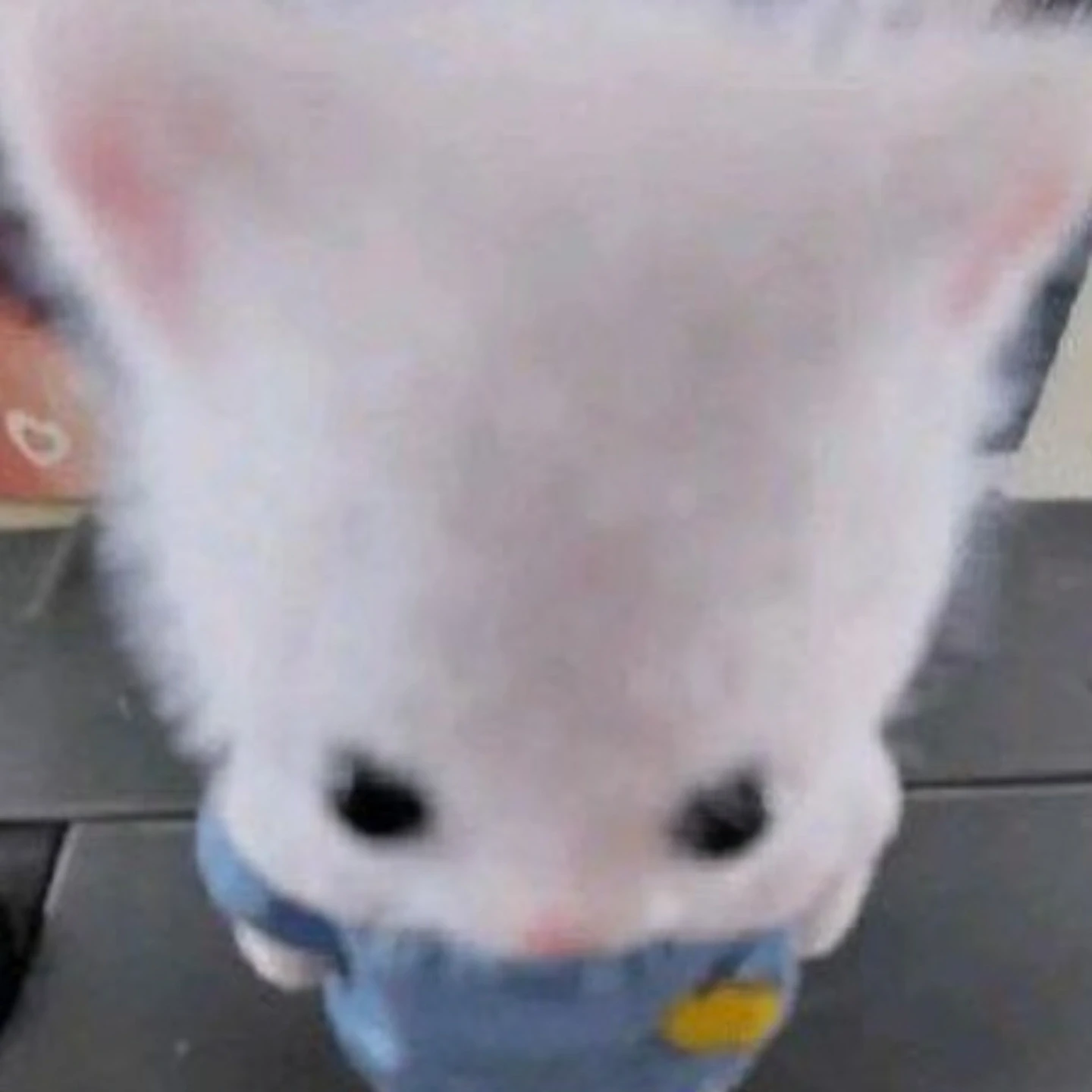팀나빠