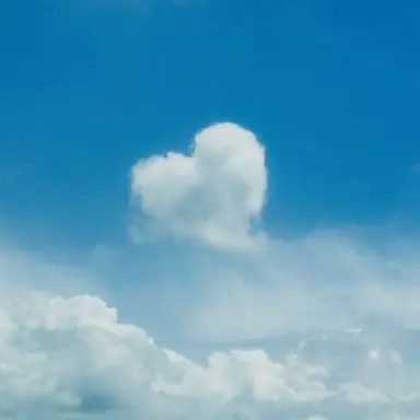 Profile image of 기유