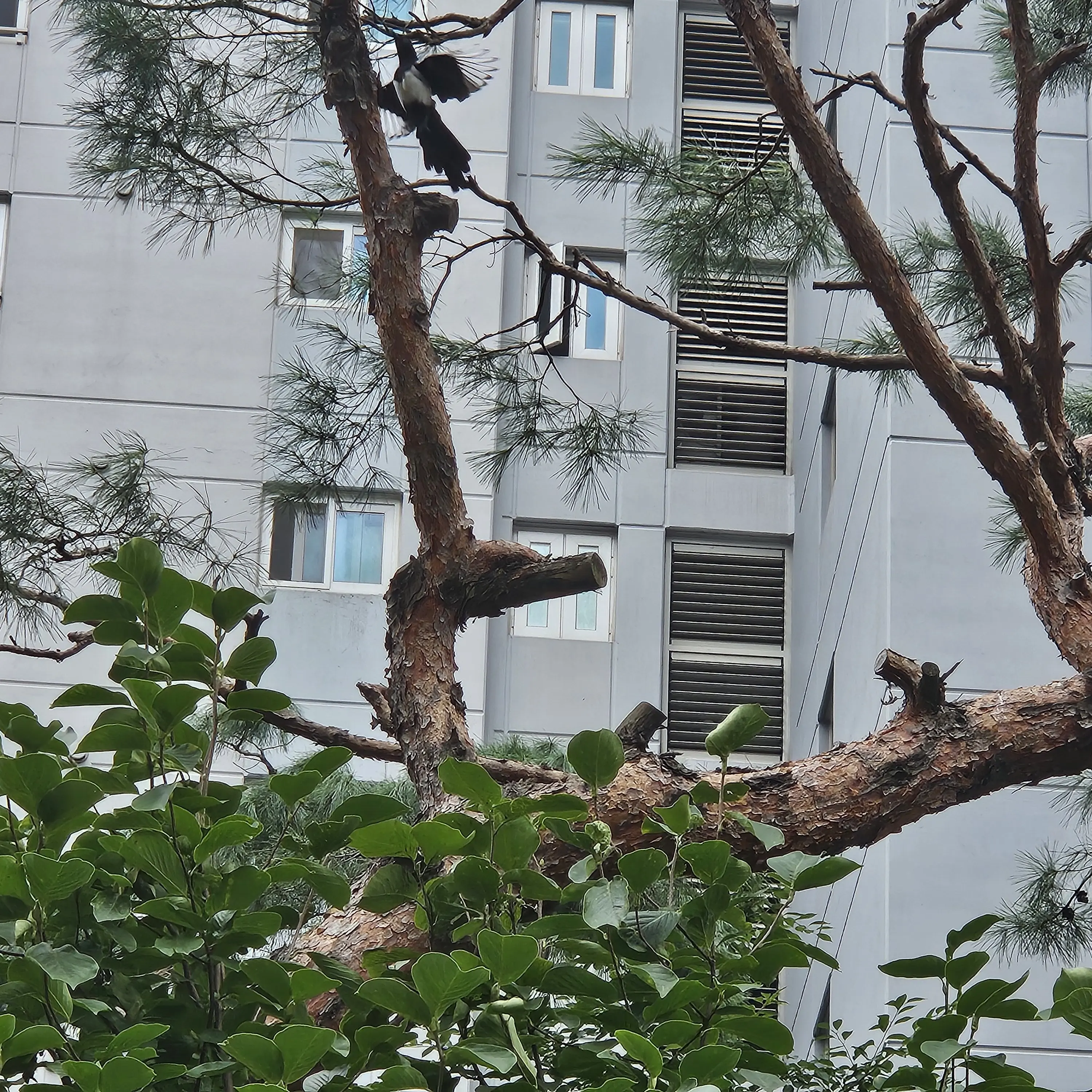 RowdyBeago6466의 샌드백