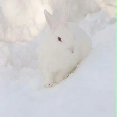 Profile image of 류