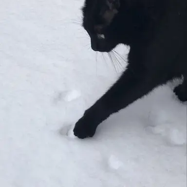 Profile image of 잭