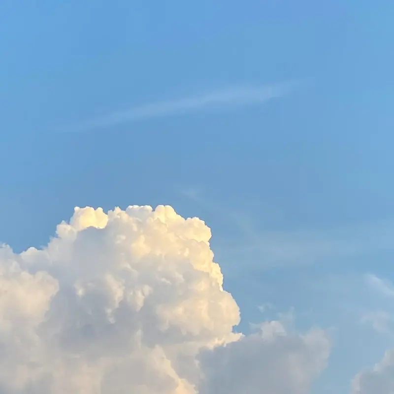 BumpyWhale0127의 이경민