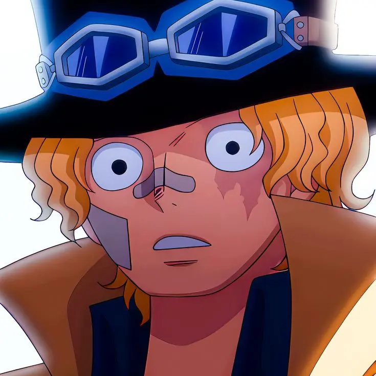 Onepiece_love의 사보