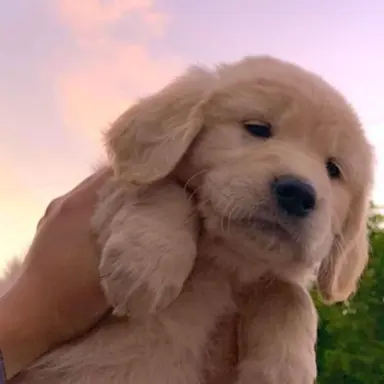 Profile image of スンミン