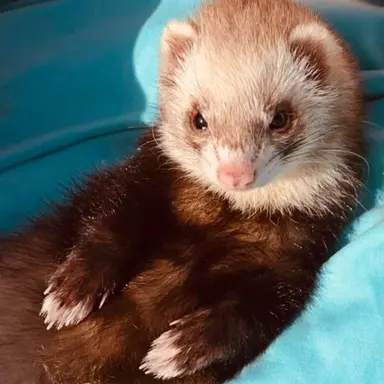 Profile image of ヒョンジン