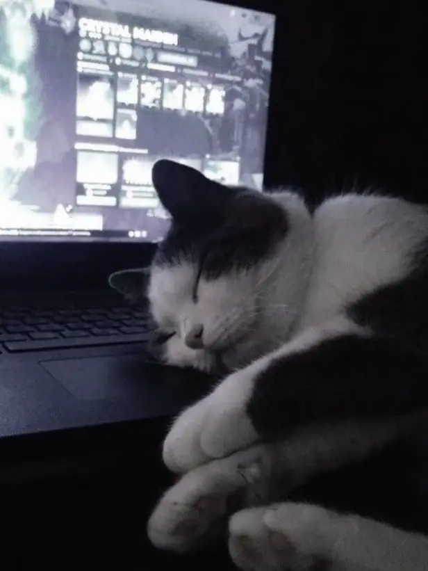 Zini_0320의 未成年でも愛シテる ᡣ𐭩.