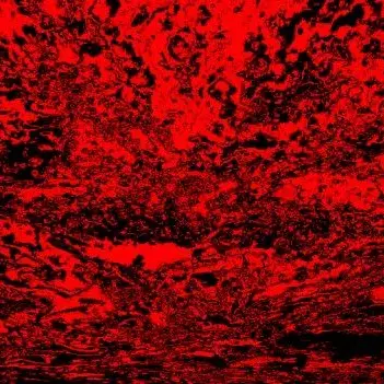 Profile image of Specter