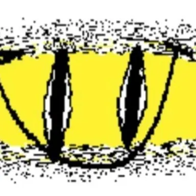 Profile image of Testing asylum