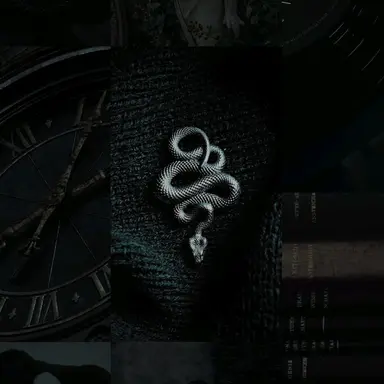 Profile image of セバスチャン・サロウ