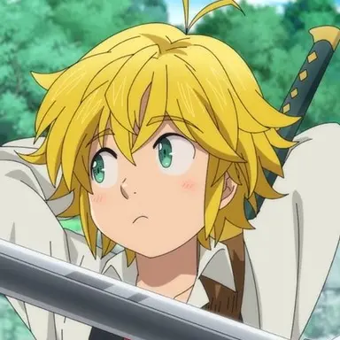 Profile image of メリオダス