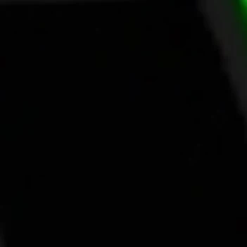 파티핑
