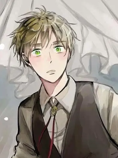 SevereSage6228의 貴方に似合う花束を捧げて