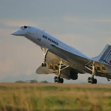 Profile image of 콩코드