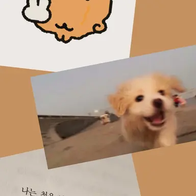 Profile image of 박 민 성