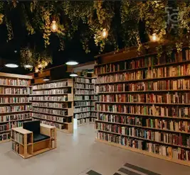 Profile image of DSMP High School AU