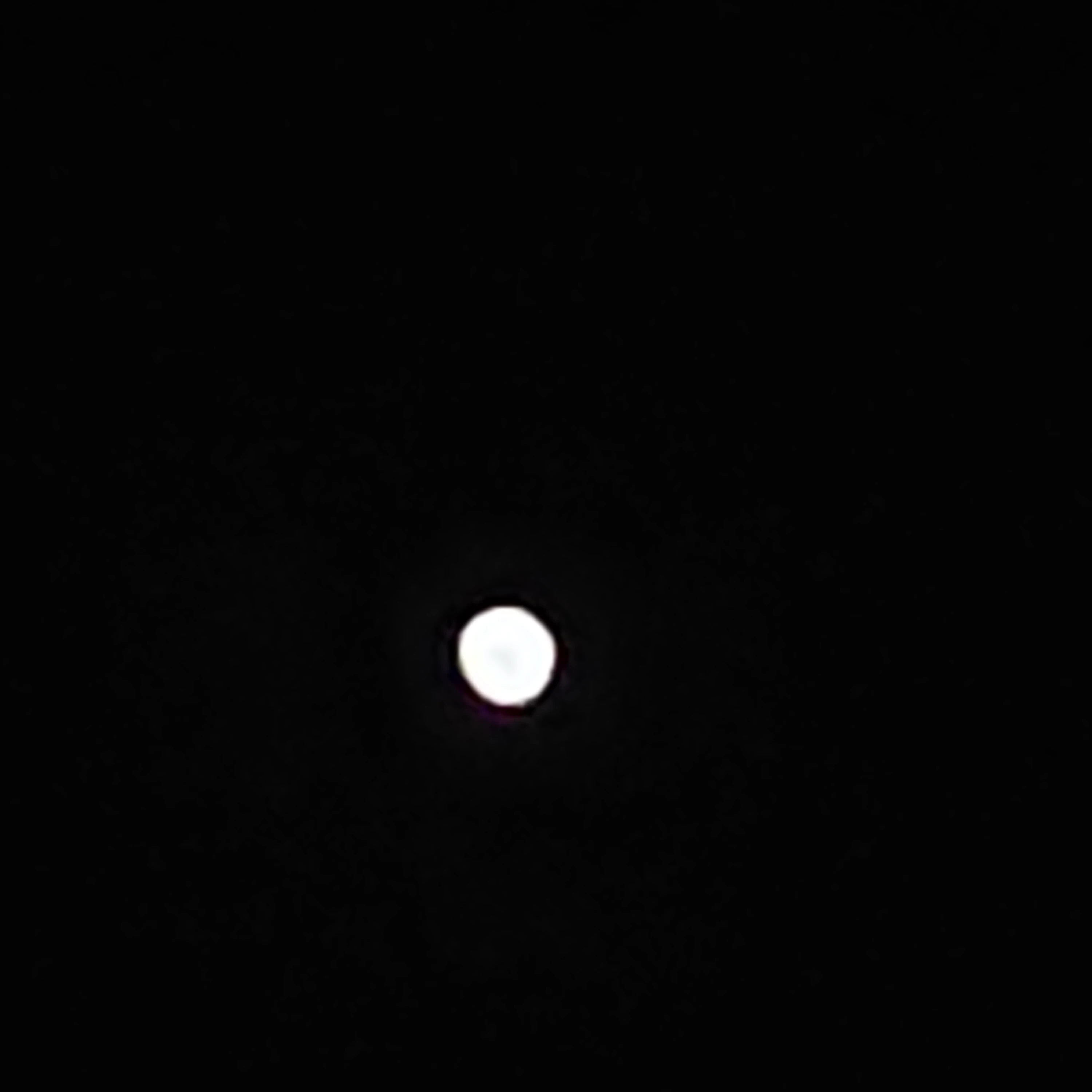 라더
